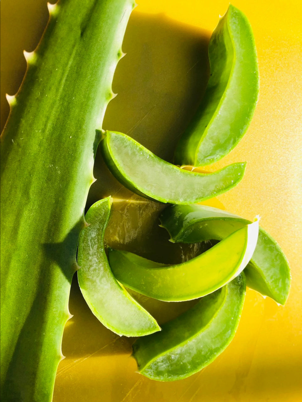 Aloe Vera Soap Bar